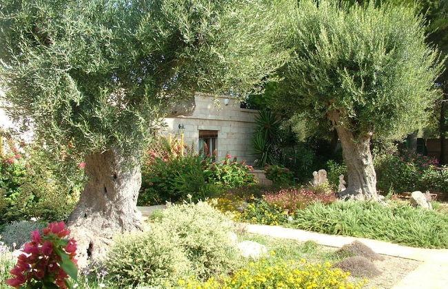 Villa Urania - Photo 16