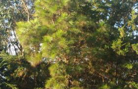 Casa el Porte - Foto 48