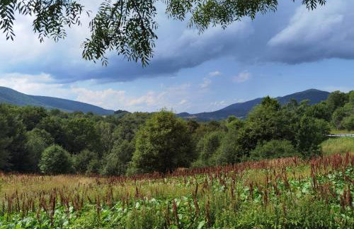 1Bed Apartment - Sleeps 4 - Terrace Pets Parking - Foto 9