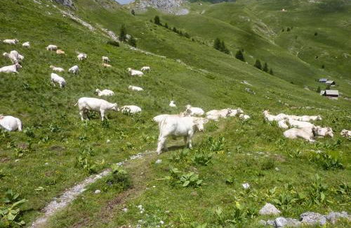 Skis aux pieds station 1600 Sun Vallée - Foto 47