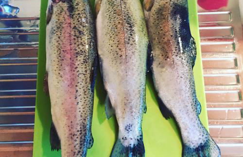 Casetta dei Cuori - Alpine Style Cozy Apartment - Photo 45