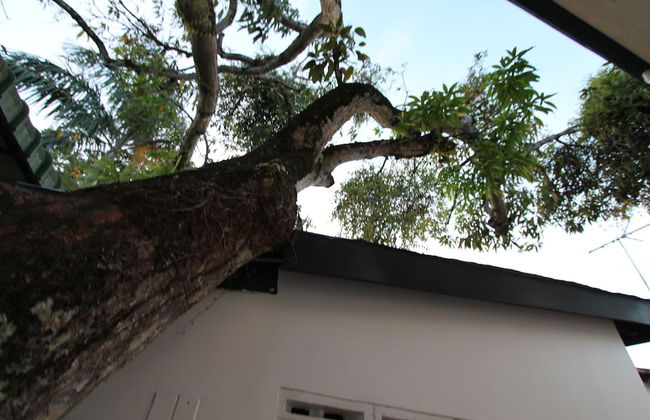 Very Charming 1-bed Studio-apartment in Paramaribo - Photo 23