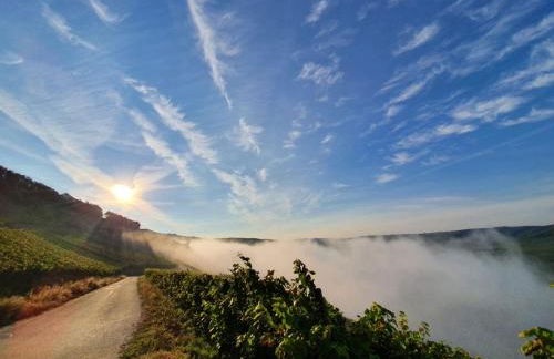 Haus Rosalinde - Photo 27