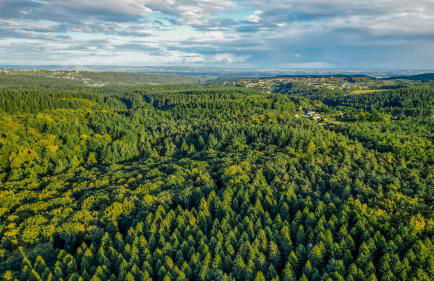 Flurry's Lodge - Foto 10