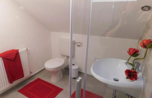 Haus Astenblick in Winterberg Ferienwohnungen mit Gastraum Wanderveranstaltungen und Familienfeiern - Foto 53