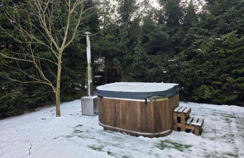 Całoroczne Domki w Bieszczadach "The Willows" - Foto 47