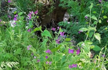 Desconexión en la sierra casa con terraza y bbq - Foto 23