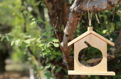 STATHI'S COTTAGE - Foto 31