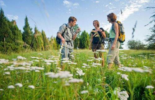 Nengshof Ferienwohnung Wildrose - Foto 17