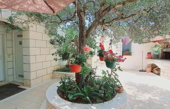 Apartments DARIJA & PERO - Foto 67