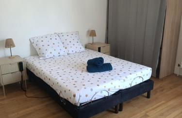 Très grand T3 - hyper centre - proximité gare - Foto 21