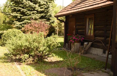 Dwor Trzesniow - Foto 25