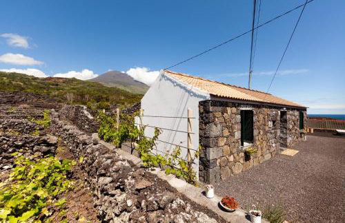 Cantinho do Sossego - Photo 13