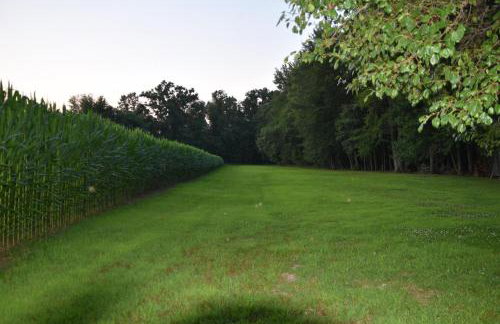 Pine Song Retreat - Foto 37