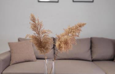 Center River Apartment - Foto 1