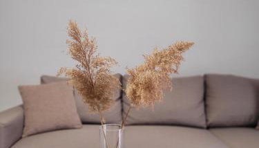 Center River Apartment - Foto 1