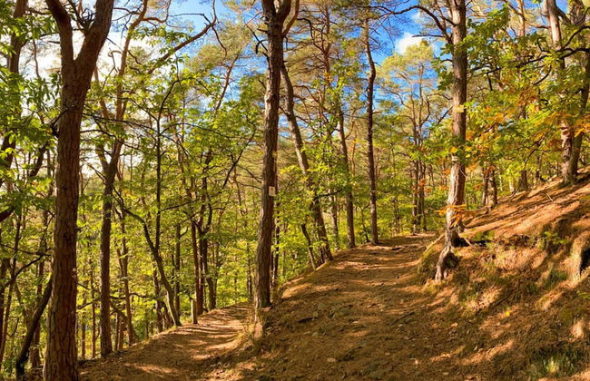 Holiday Apartment Faller-greiner - Photo 9