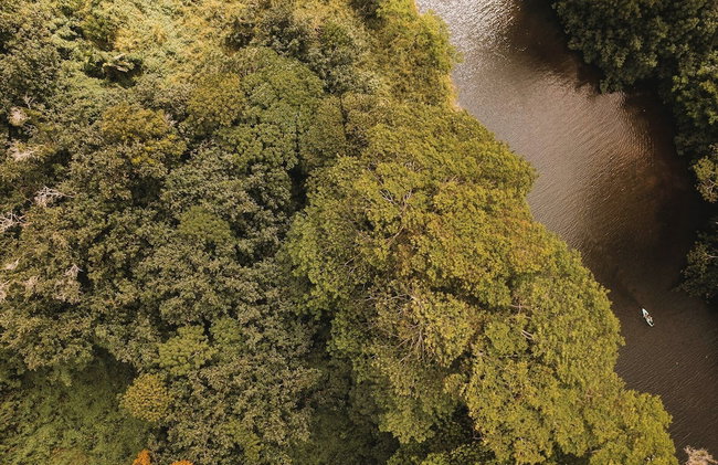 Kauai Plantation Hale Hotel - Foto 111