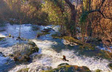 Kaja House Apartments - Foto 37