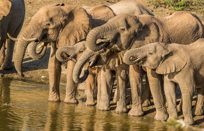 Uplands Homestead - Photo 20