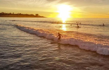 The Shores 4 - Photo 30