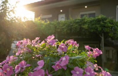 Xrysa's House - Foto 73