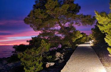 Apartman Kristina - Photo 59