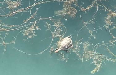 Boutique Style Apartment in Velez de Benaudalla - near Salobrena - Foto 16