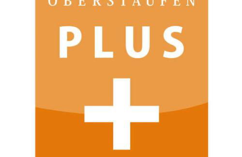 Exklusive FeWo AllgäuStern Steibis mit WLAN Sauna Kamin und Oberstaufen PLUS Card mit SKIPASS - Foto 42