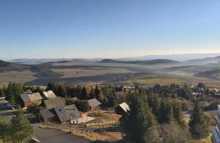 La forêt des Marmottes - Photo 8