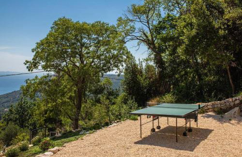 Villa Paulina - Photo 54