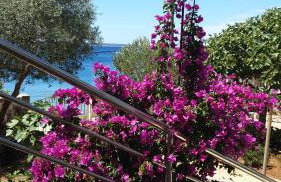 Blue Lagoon - Foto 10