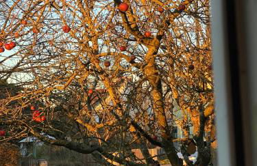 Ferienwohnung am Kirschbaum - Foto 20