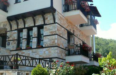 Petrini Gonia - Foto 41