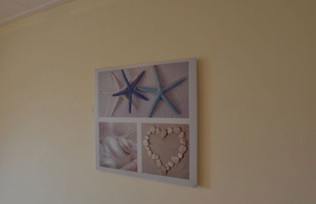 Apartment in Bergen aan Zee With Roof Terrace - Foto 11