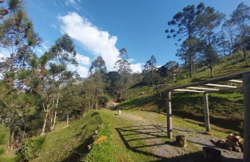 Chácara das Araucárias - Foto 47