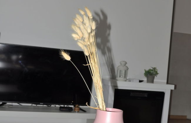 Apartmani Žabljak Hills - Foto 43