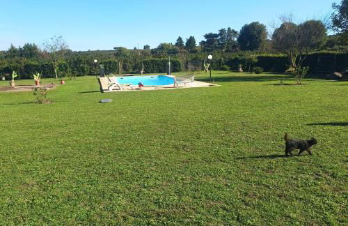 Tenuta Quadrone - Foto 7