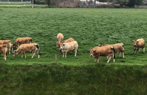 Ker Joseph : longère bretonne rénovée - Foto 13