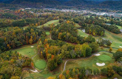 Indoor Pvt Pool, Pkyway, 44, HotTub, BBQ, King - Photo 50