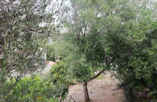 Villetta Sara - Foto 26