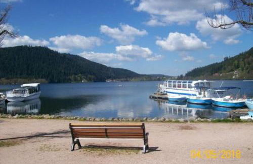 BEAUTIFUL CHALET in nature near Gerardmer! - Foto 30