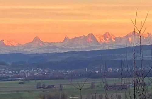 Kronenburger Comfort Bungalow - Foto 28