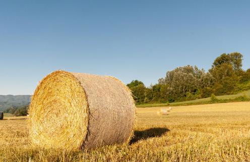 Villa Colle di Giotto Mugello, Tuscany - Foto 32