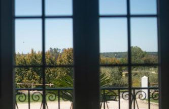 Monte dos Rolas - Foto 18