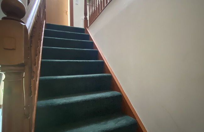 The Paddock - Foto 21