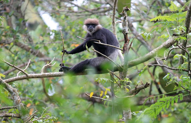 The Country House - Foto 25