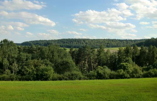 Ferienwohnung Fackiner - Foto 22
