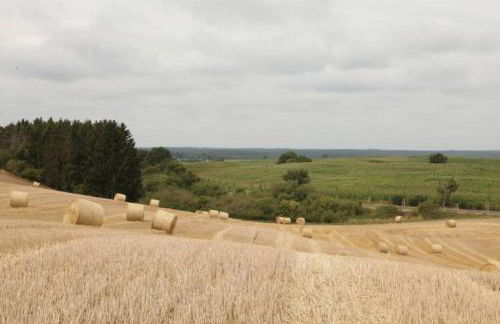 Ferienwohnung in Peetzig am See - Foto 58