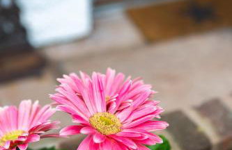 Wick House - Foto 67